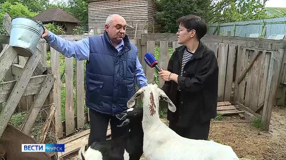 1234     