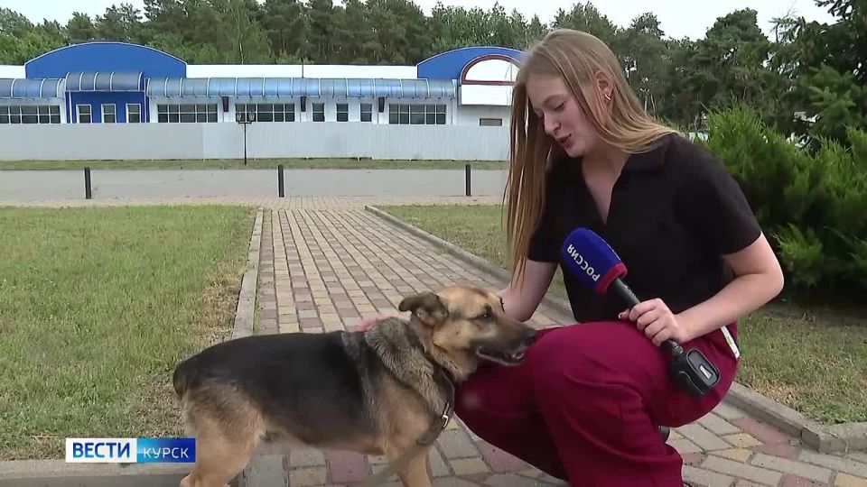      !