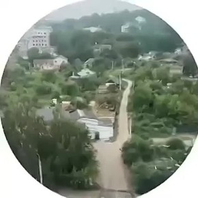        ( )   