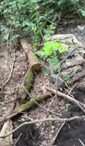 Суджа. ВСЯ ЖЕСТЬ СВО
