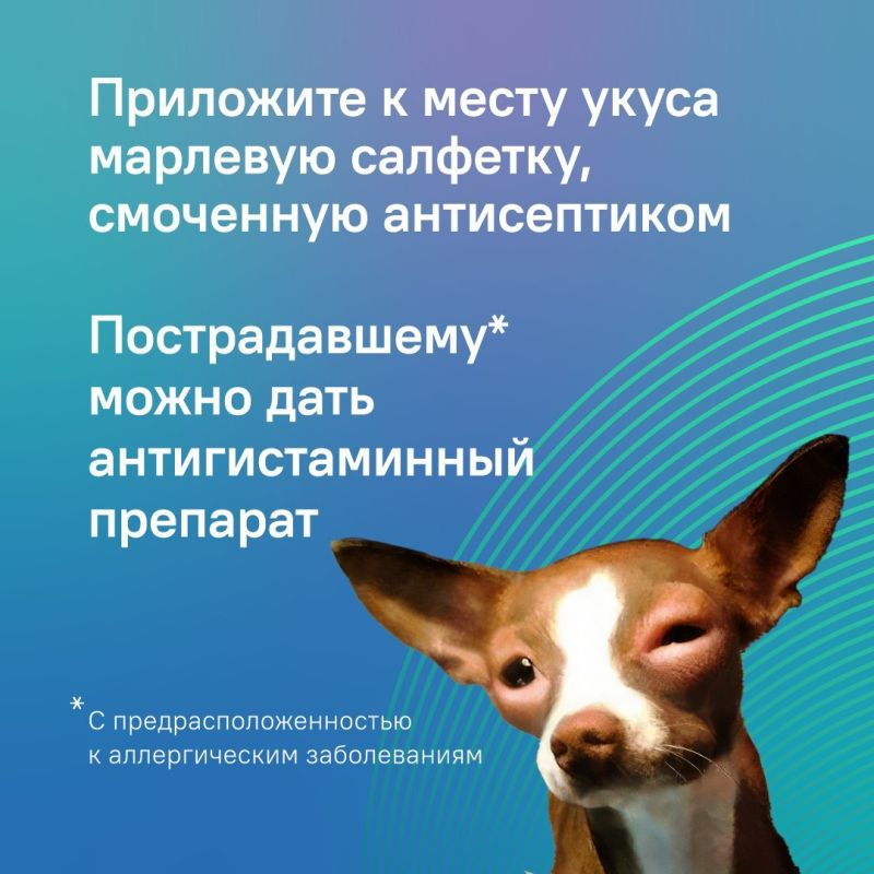     ,       