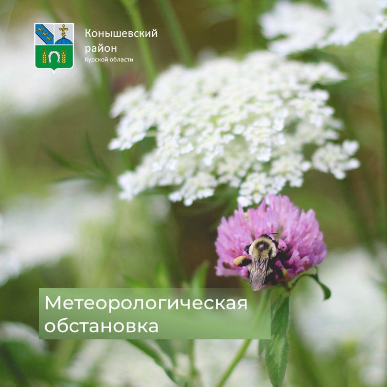  !.  ,  +23C,   ,    +17C
