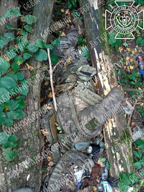 Кадры 18+: Этот украинсий оккупант в Курской области пытался укрыться в блиндаже под накатами бревен