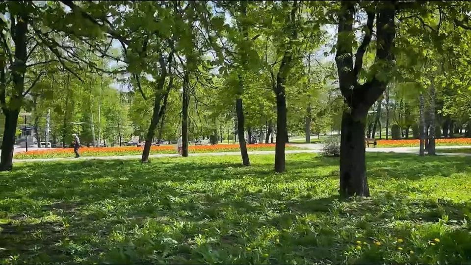 С Днем рождения, любимый город!