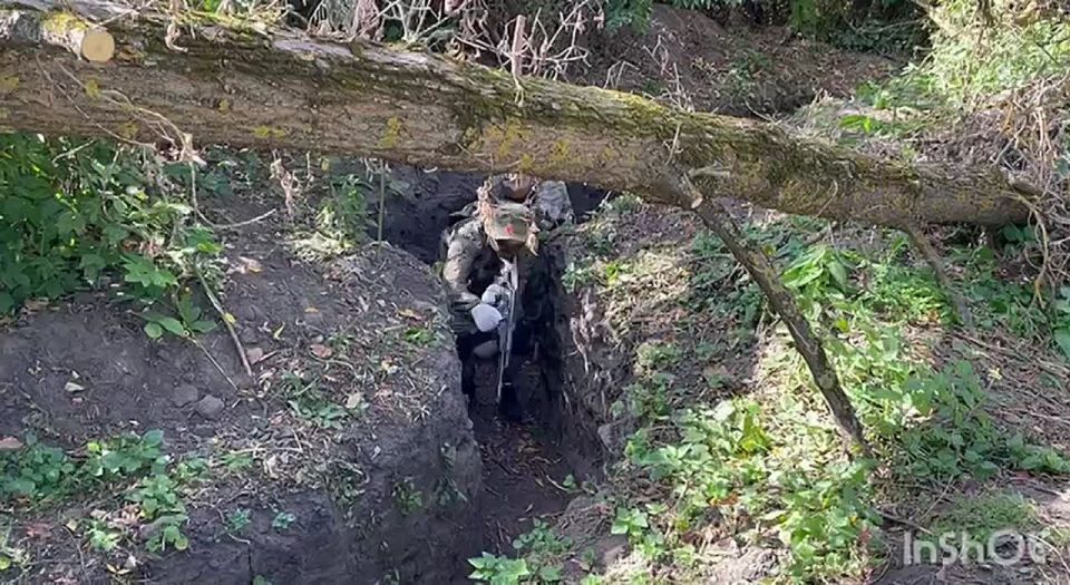 Куряне могут вступить в народную дружину «Курск»