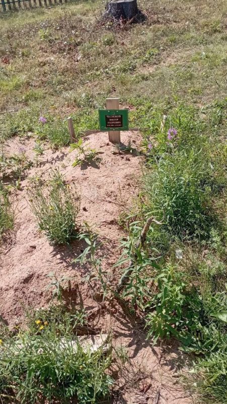 Вопиющий случай произошёл в Пермском крае в небольшом городе Нытва