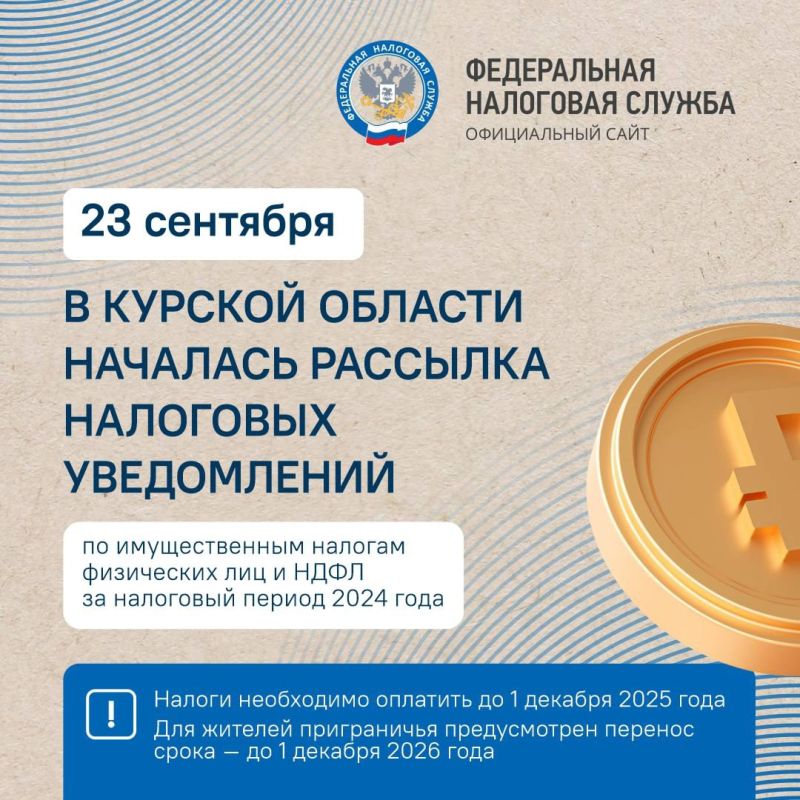                 2024 