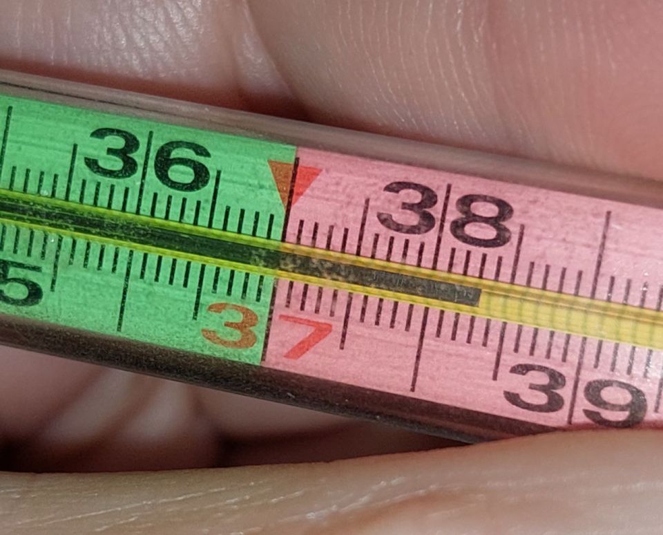 В Курской области продолжает расти заболеваемость ОРВИ