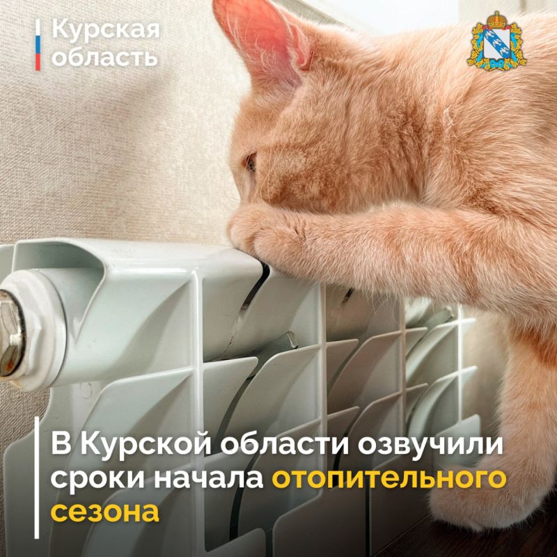 На заседании Правительства Курской области озвучили сроки начала отопительного сезона