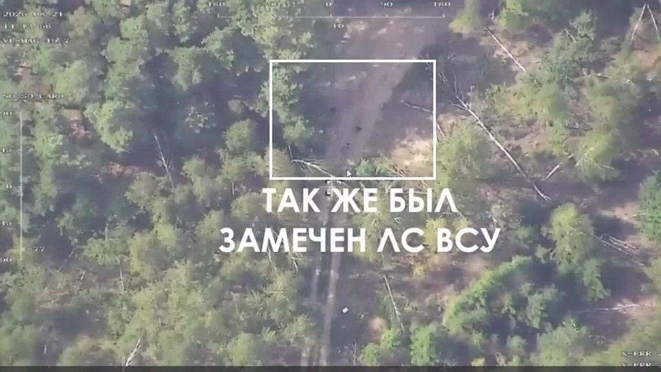 Работа в связке "ШТОРМ"+ FPV