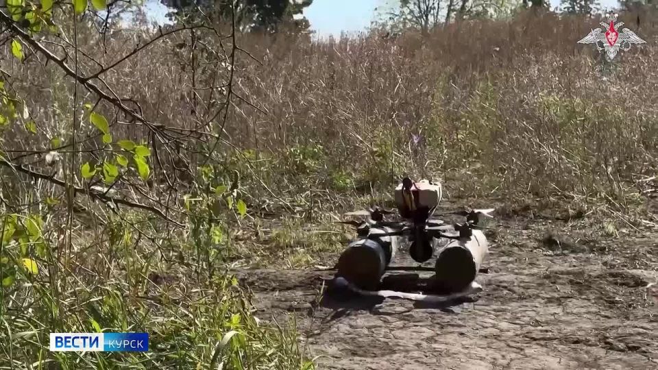 123 Подразделения группировки войск "Север" продолжают формирование полосы безопасности