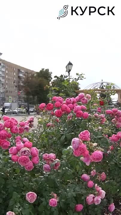 «Вместе навсегда!» — Курск откликнулся сердцем