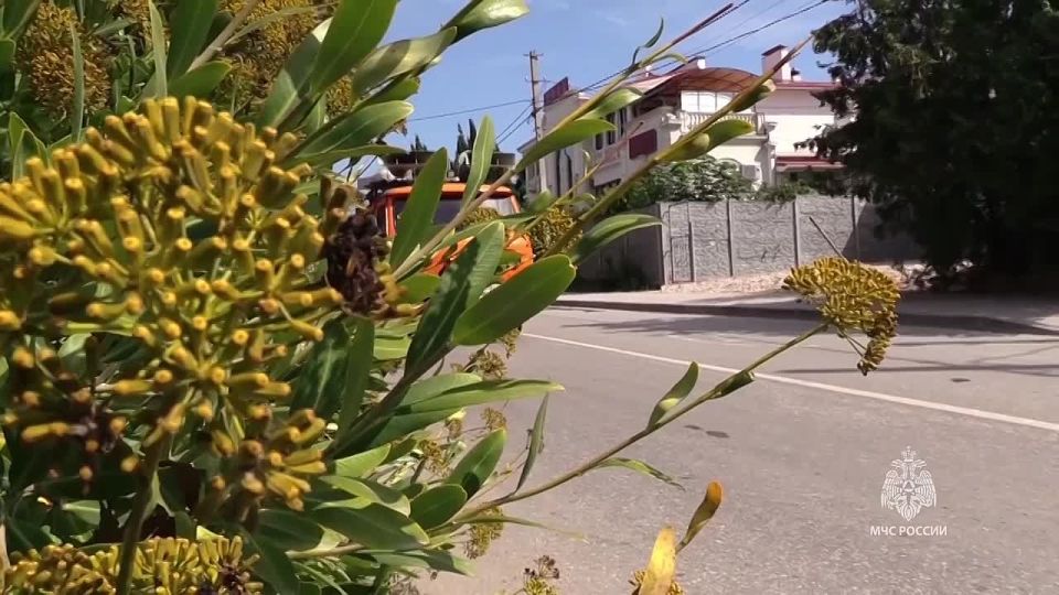 В Курске 1 и 2 октября состоится Всероссийская тренировка, приуроченная ко Дню гражданской обороны