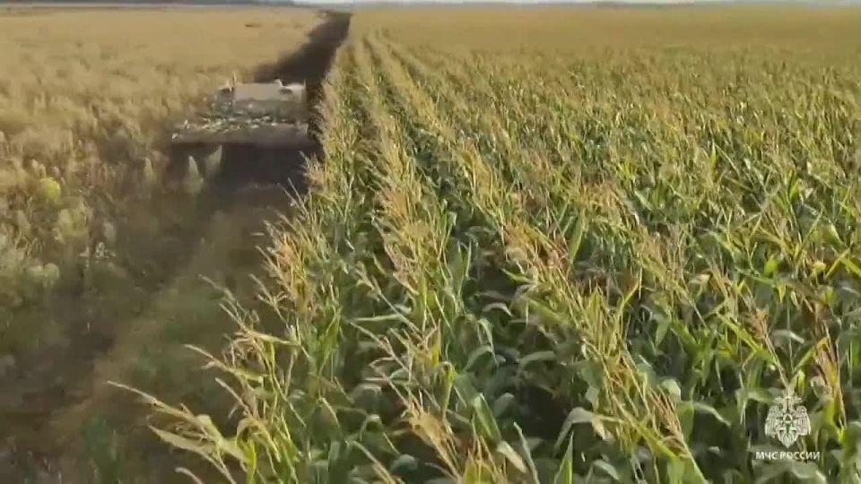 Более 14800 взрывоопасных предметов обезвредили сапёры МЧС России в Курской области