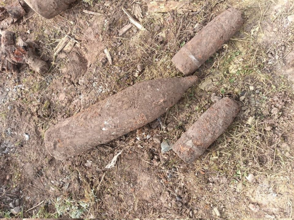 35 боеприпасов времен ВОВ нашли в Дмитриеве