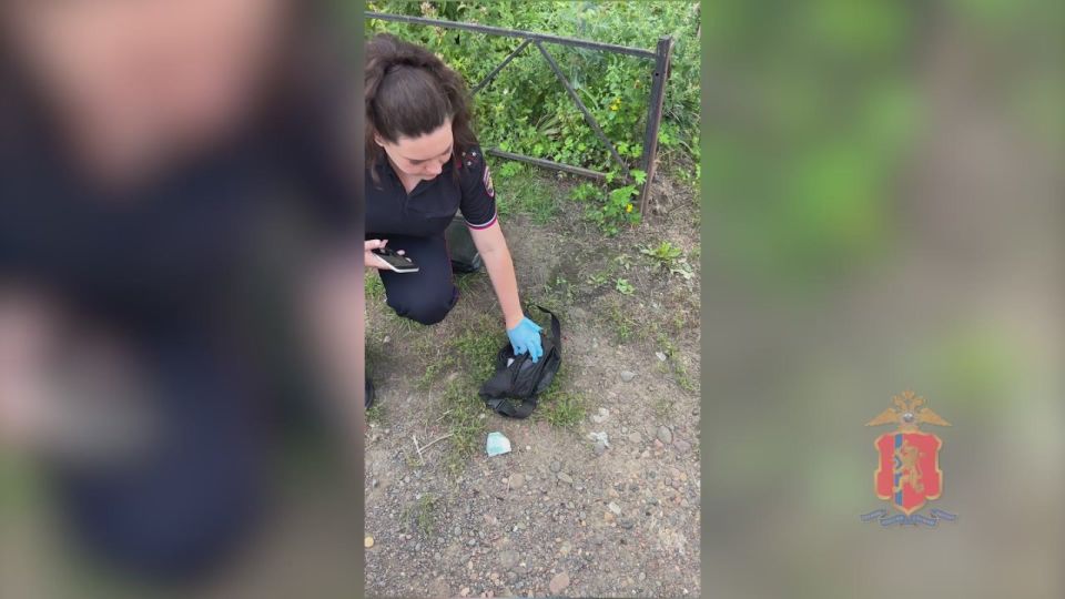 "Разносторонний" преступник: житель Железногорска попался на краже телевизора и хранении наркотиков