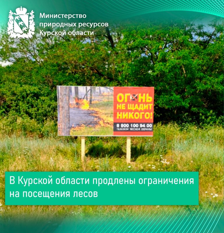 В Курской области продлены ограничения на посещения лесов