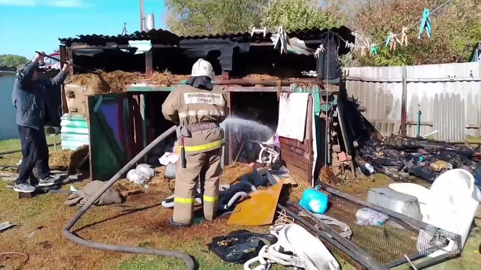 В деревне Лунино Обоянского района загорелась хозпостройка