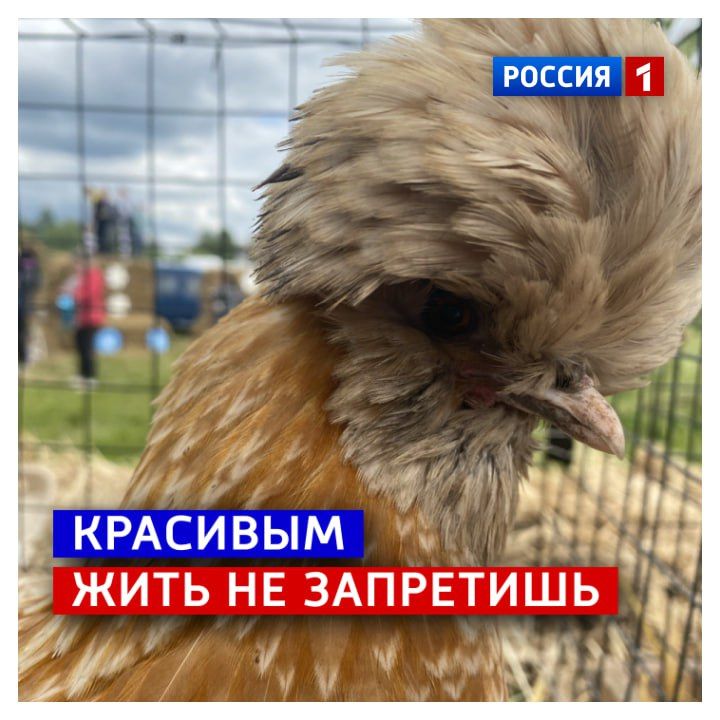5 октября, воскресенье.  Оставшийся выходной проведите красиво
