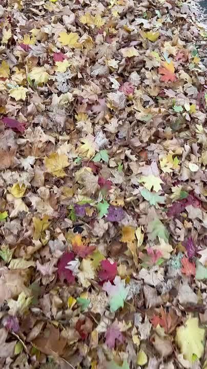 Доброе утро, друзья!. Сегодня прохладнее, чем вчера