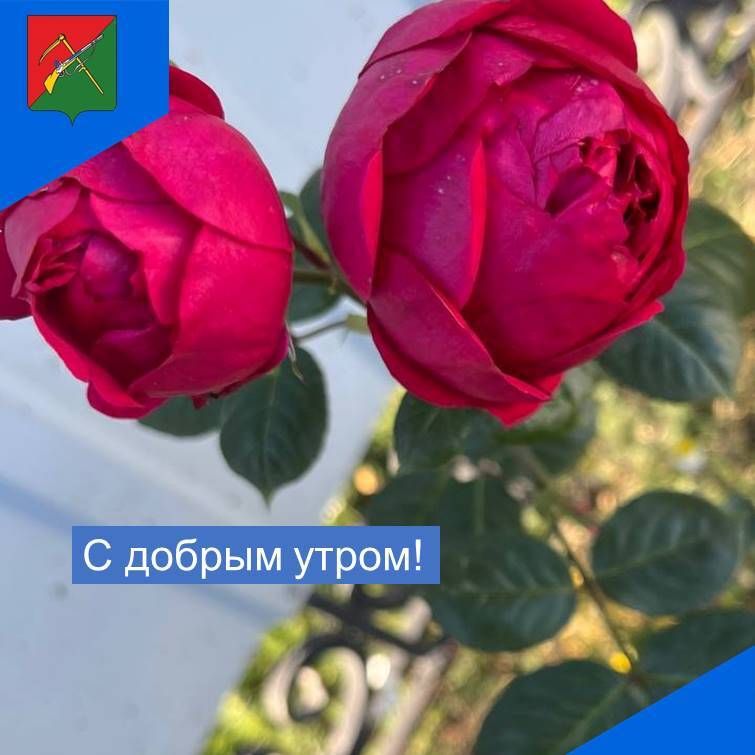 Всем хорошей недели!