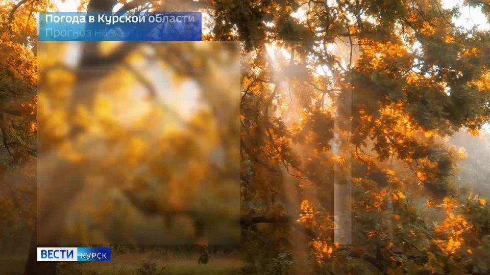 на 7 октября. ВЕСТИ Читать | Прислать | MAX