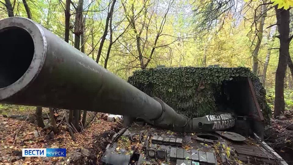 11111 Главные темы выпуска «Вестей-Курск» — прямо сейчас в нашем эфире: