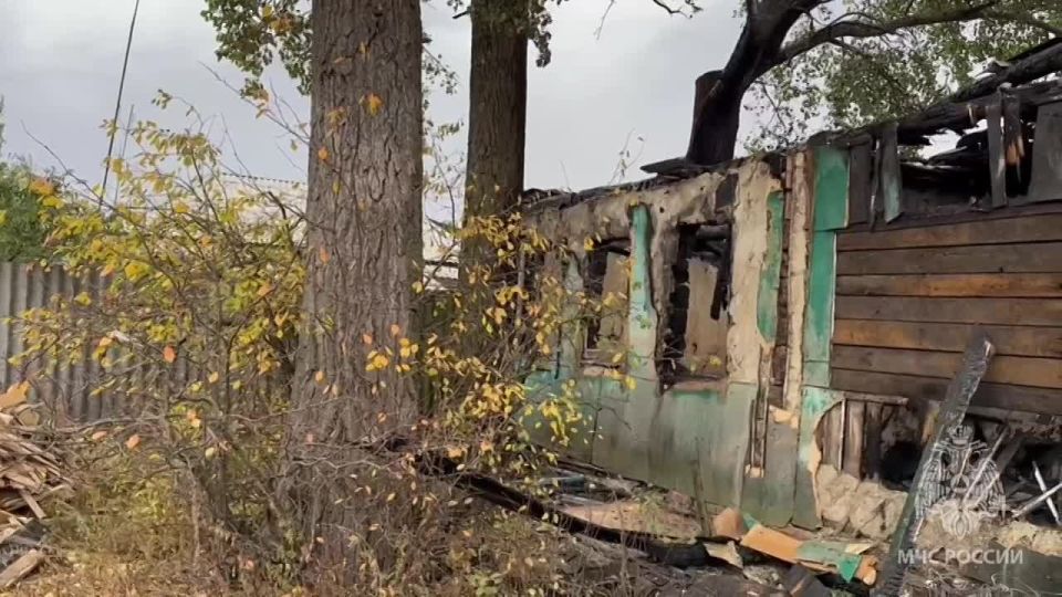 Как сообщили в МЧС региона, трагедия случилась в Солнцевском районе