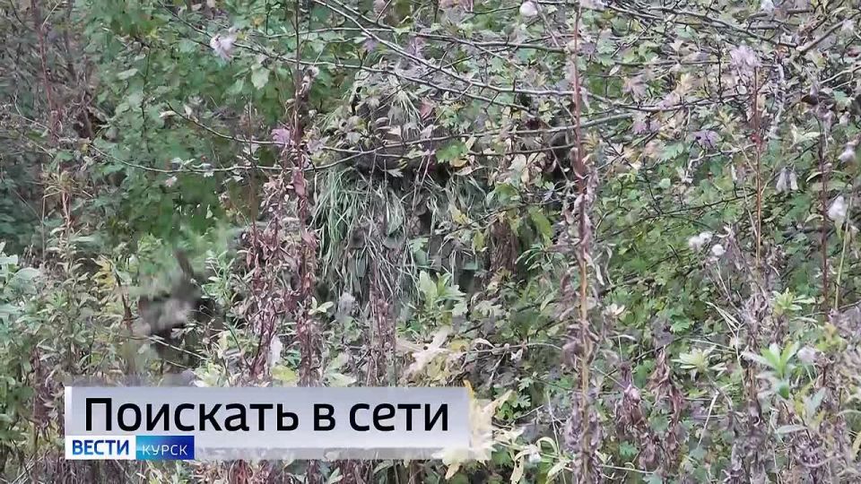 11111 Главные темы выпуска «Вестей-Курск» — через несколько минут в нашем эфире: