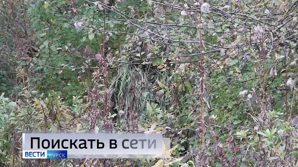 11111 Главные темы выпуска «Вестей-Курск» — через несколько минут в нашем эфире: