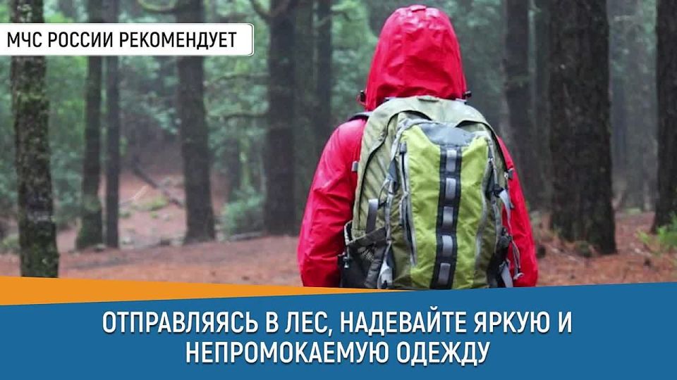 Отправляясь на прогулку в лес, помни о безопасности