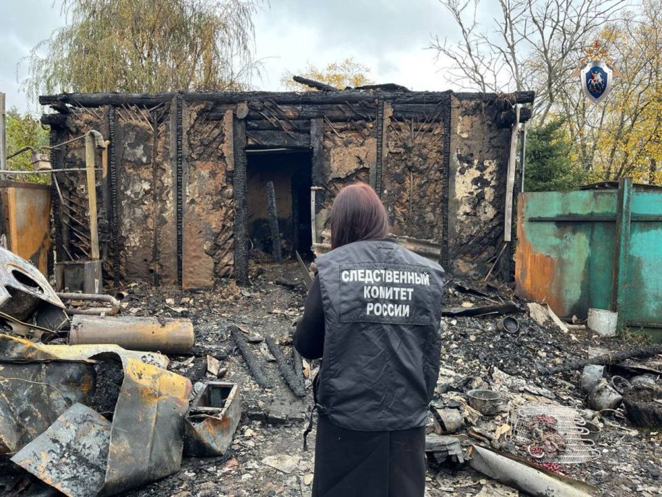 В Курске по сообщению в соцмедиа об избиении несовершеннолетнего организована процессуальная проверка