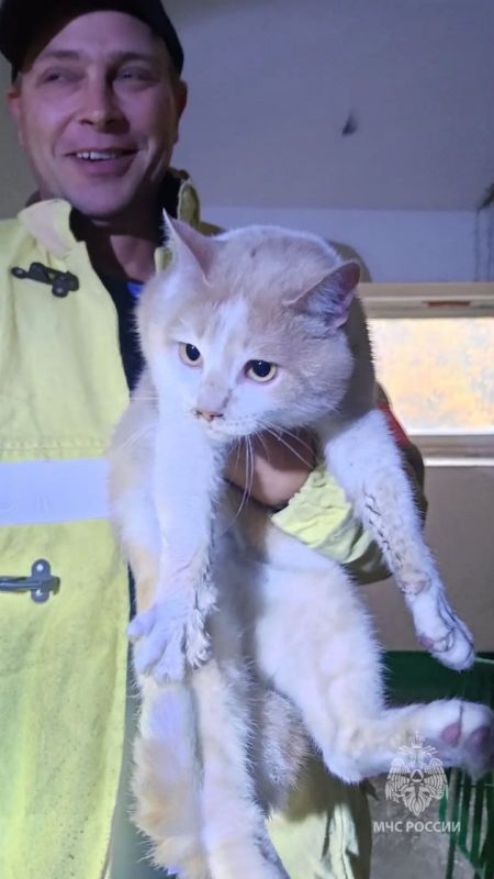 Милоты пост. Пожарные спасли мужчину и его кота в Железногорске