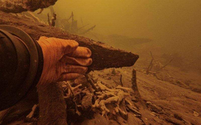 Курские дайверы нашли под водой остатки старинной мельницы графа Клейнмихеля