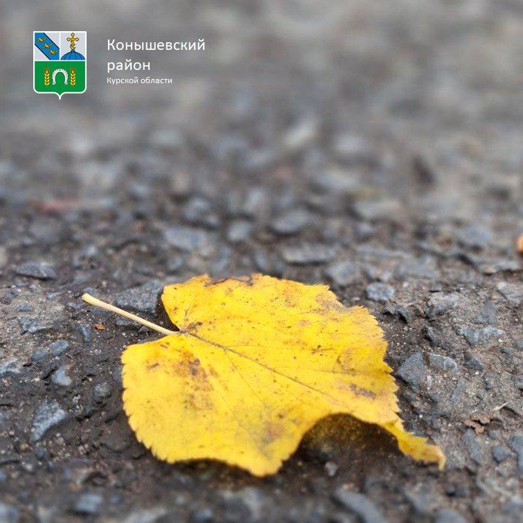 Доброе утро!. Синоптики говорят, что сегодня будет облачно, +6°C в дневные часы, возможен небольшой дождь, ночью термометры покажут +3°C