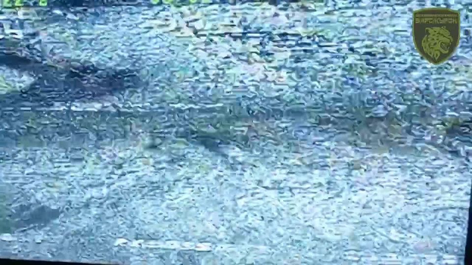 РЭБовцы бригады «БАРС-Курск» успешно перехватили очередной FPV-дрон ВСУ