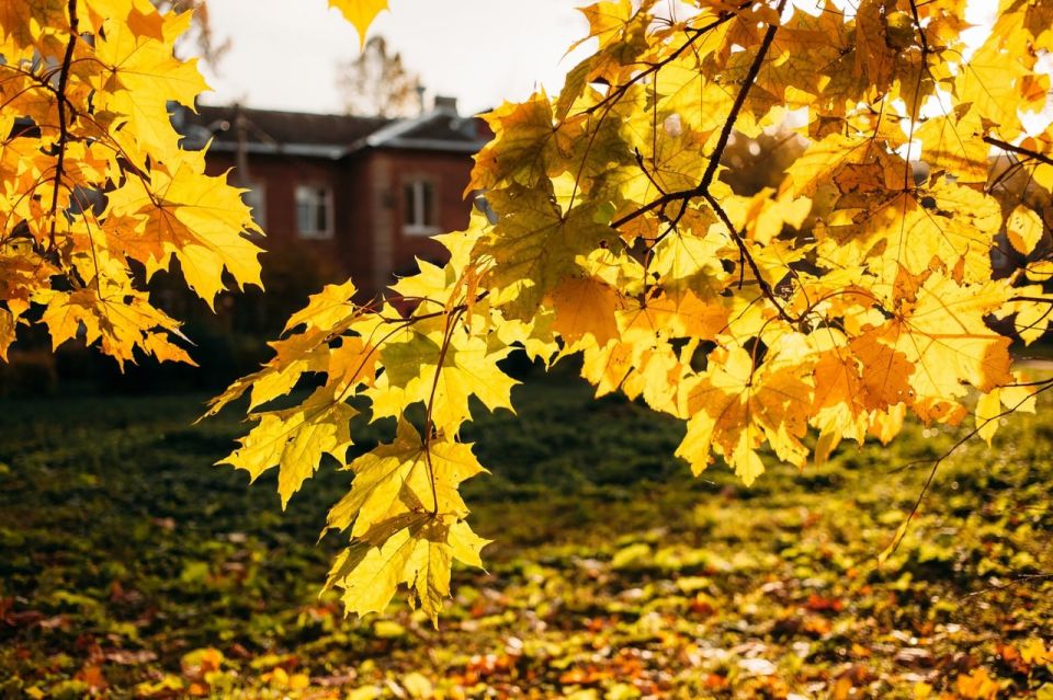  !.            10   