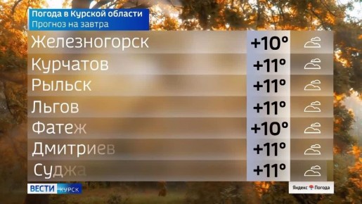  17 .   |  | MAX