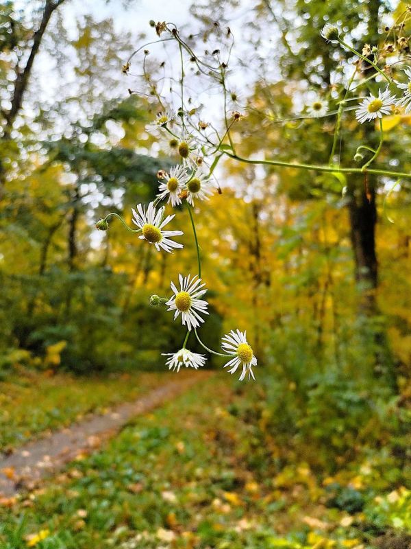 Доброе утро!. В делах - успехов и везения!