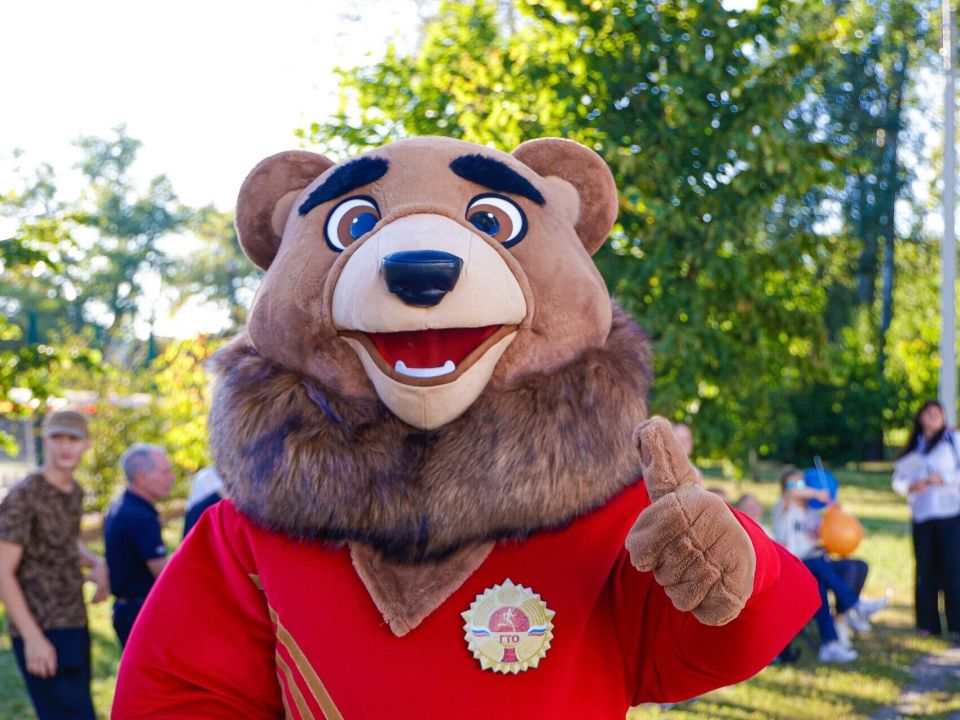 В эти выходные в Курской области состоятся 3 спортивных мероприятия: