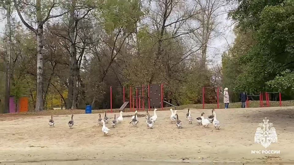 В регионе определен лучший государственный инспектор по маломерным судам
