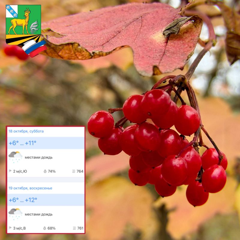 Доброе субботнее утро, друзья! Вот и наступили долгожданные выходные