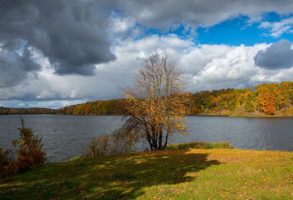 Доброе утро! Золотая осень на фотографиях Романа Игнатьева