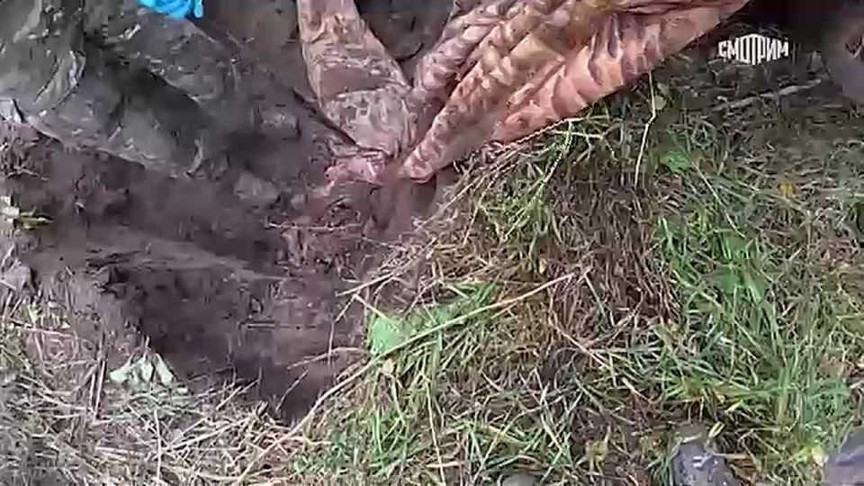 Профессиональный праздник сегодня отмечают российские криминалисты