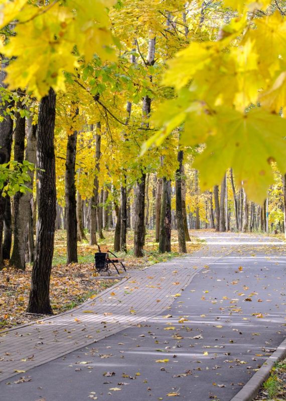 Осень в железногорском парке