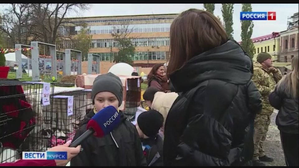 Кошке — дом. В минувшие выходные на Полугоре можно было найти свою «пушистую» любовь
