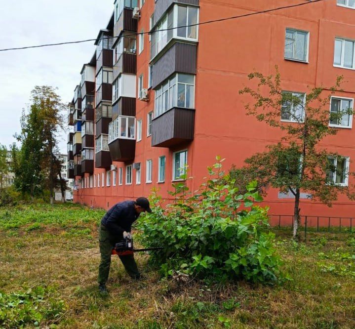 В Курске эксперты проверили благоустройство полсотни дворов