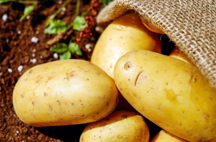 Как приготовить картофель, чтобы он был вкусным и сохранил полезные вещества