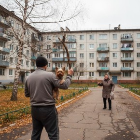 Месть за йорка. Мужчина стоял в очереди в магазине и держал на руках йоркширского терьера