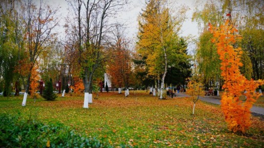 Золотая осень в Черемисиново